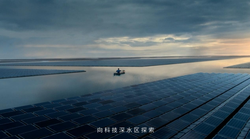 1687320317211017474.jpg 1687320317211017474.jpg