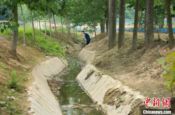 潘軍杰在清理稻鱉共養(yǎng)基地水渠。　陳家樂 攝