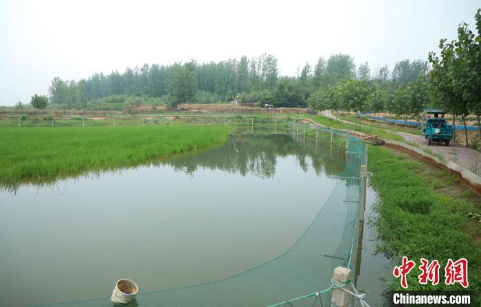 潘軍杰駕駛?cè)嗆囃獬鏊拓洝！￡惣覙?攝