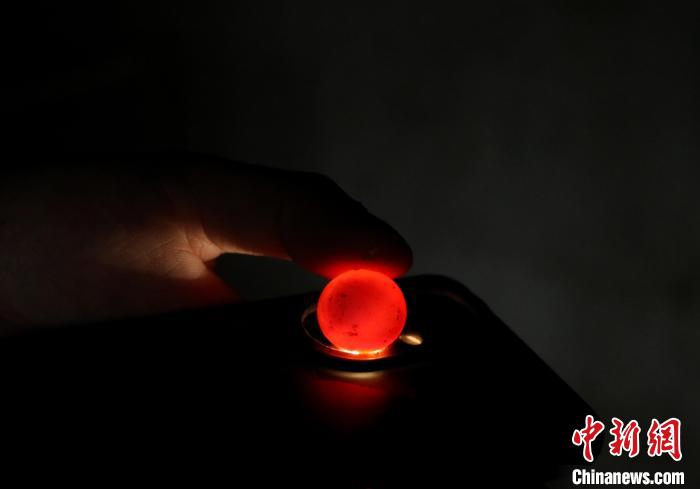 在肥西縣銘傳鄉(xiāng)白龍村稻鱉共養(yǎng)基地內(nèi)，一只鱉蛋里幼鱉正在長成。　陳家樂 攝