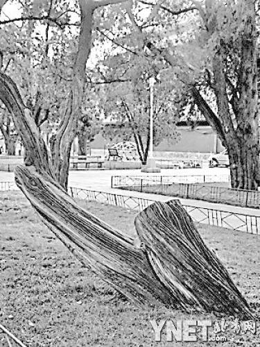 點(diǎn)擊進(jìn)入下一頁(yè)