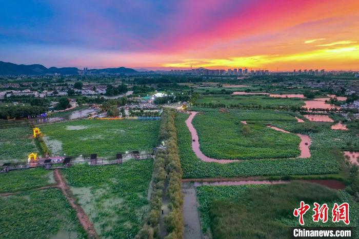 23日，航拍位于南京棲霞區(qū)龍?zhí)对谒环骄皡^(qū)的荷花基地，在絢麗晚霞的映襯下，這里“千層翠蓋萬(wàn)紅妝”?！°蟛?攝
