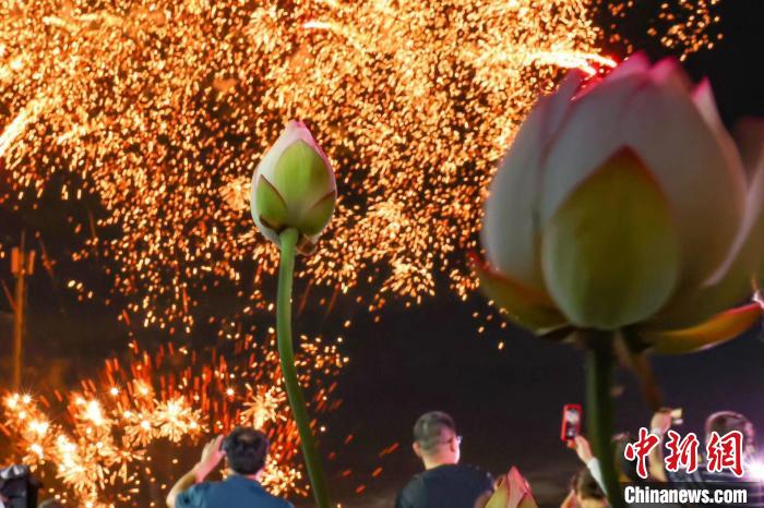 23日，航拍位于南京棲霞區(qū)龍?zhí)对谒环骄皡^(qū)的荷花基地，在絢麗晚霞的映襯下，這里“千層翠蓋萬(wàn)紅妝”。　泱波 攝