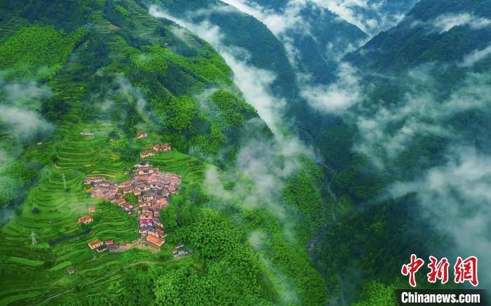 “八八戰(zhàn)略”開放記：秀山麗水如何耕甜“地瓜”？