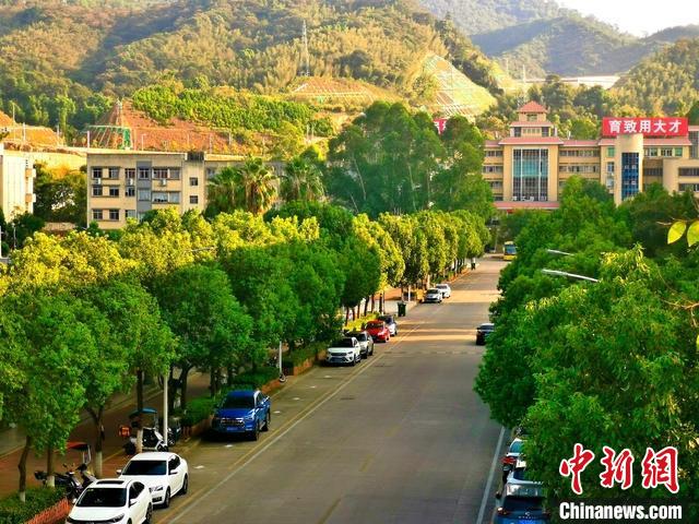 圖為三明學(xué)院校園一角?！∪鲗W(xué)院供圖