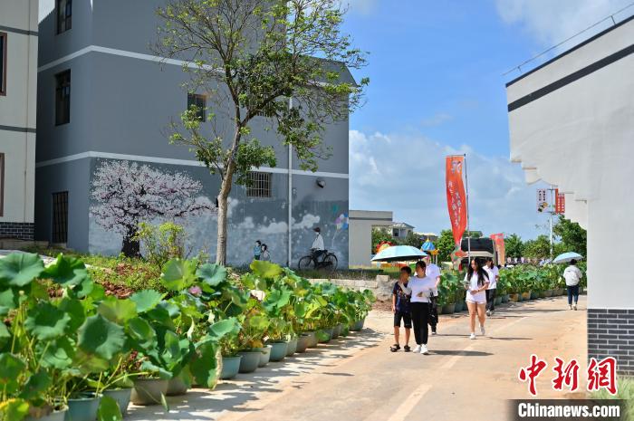 圖為民眾賞荷?！∮峋?攝