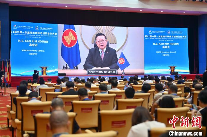 圖為東盟秘書長高金洪在第11屆中國—東盟技術轉移與創(chuàng)新合作大會上進行線上發(fā)言。　俞靖 攝