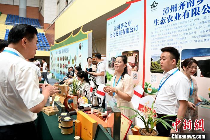 本屆茶會專門設(shè)置展區(qū)，展示展銷茶王賽獲獎產(chǎn)品、漳州市特色茶品牌等?！埥鸫?攝