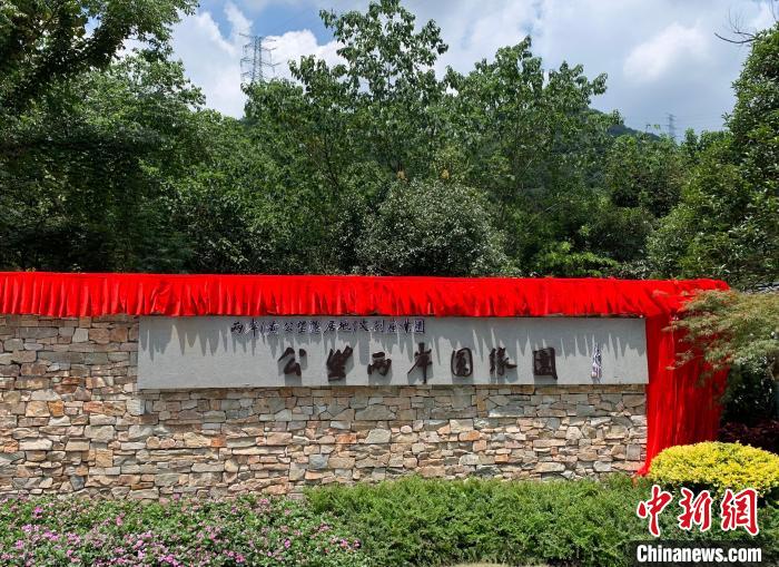 “公望兩岸圓緣園”開園?！」溻?攝