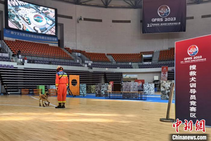 圖為搜救犬訓(xùn)導(dǎo)員競賽區(qū)，陸志寬正在與他的“無言戰(zhàn)友”歐弟并肩作戰(zhàn)?！∑钤鲚?攝