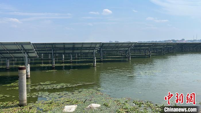 光伏板遮罩水面，既可發(fā)電，又可降低夏季坑塘底泥發(fā)酵量。　張雪盈 攝