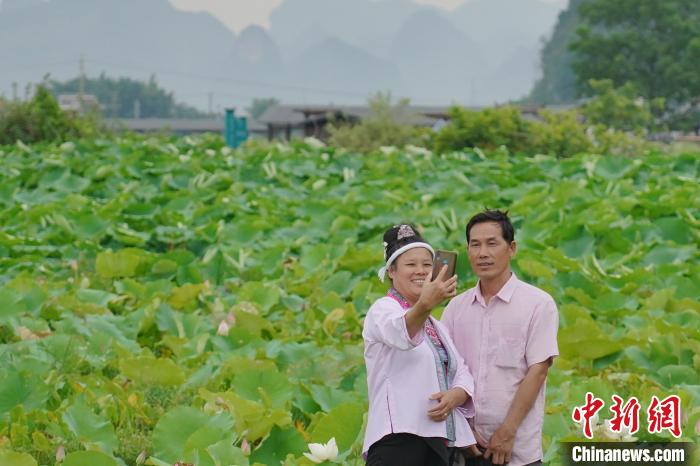 圖為游客在百朋下倫荷花景區(qū)中賞荷拍照?！№f國(guó)政 攝