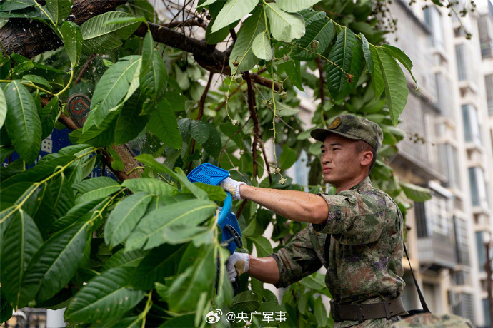 001SX8hXly1hgw2zsbmrlj60rs0ijwo202 001SX8hXly1hgw2zsbmrlj60rs0ijwo202