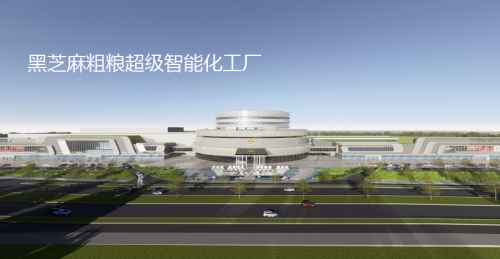 深耕食養(yǎng)賽道，南方黑芝麻隆重推出保健款黑芝麻糊國貨老品牌的新通路