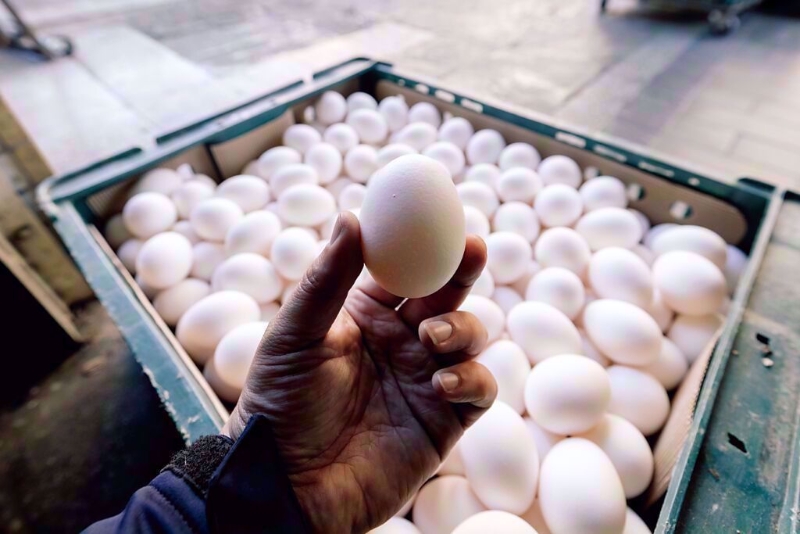 20230904004597 20230904004597