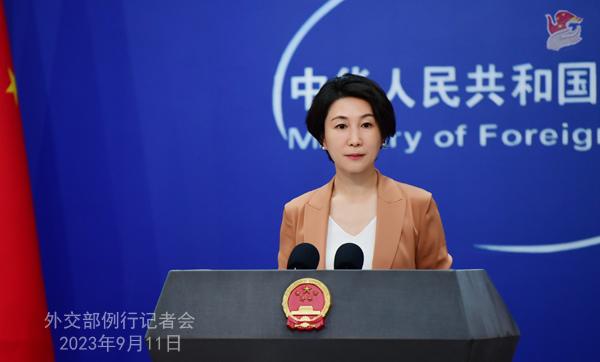 中方：G20新德里峰會宣言是各方協(xié)商一致達(dá)成的，反映了各成員國的共識