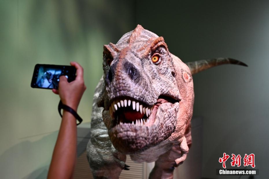 香港科學(xué)館展覽展示6.35億年以來(lái)地球生命的演化