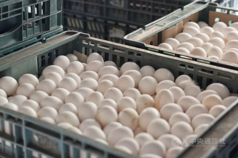 圖為臺(tái)北市萬華區(qū)一間蛋行貨車上的雞蛋。（圖源：臺(tái)灣“中央社”）