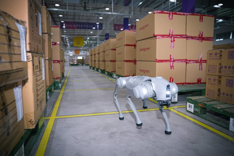 　9月13日，機(jī)器狗在杭州亞運(yùn)會(huì)物流中心內(nèi)執(zhí)行巡檢工作。新華社記者 江漢 攝