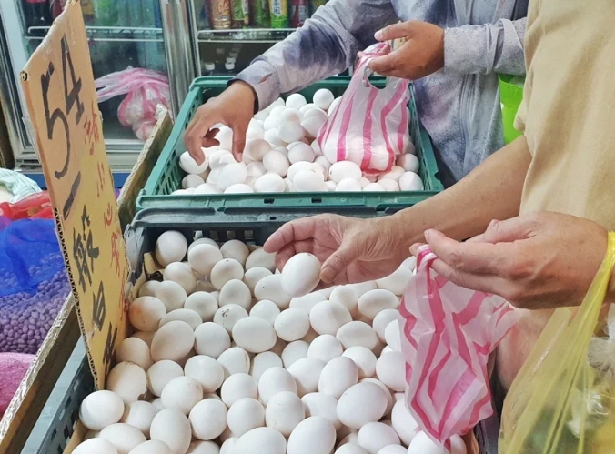 島內(nèi)進(jìn)口蛋爭議延燒。圖片來源：臺(tái)灣《聯(lián)合報(bào)》。