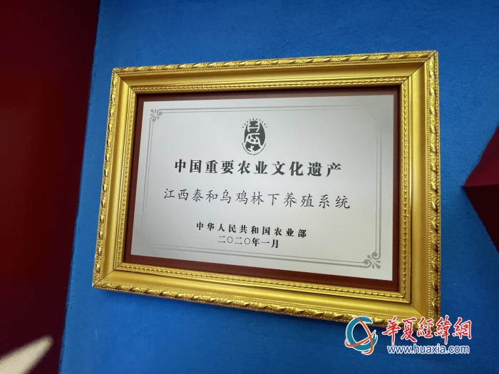 微信圖片_20231023181356_副本 微信圖片_20231023181356_副本