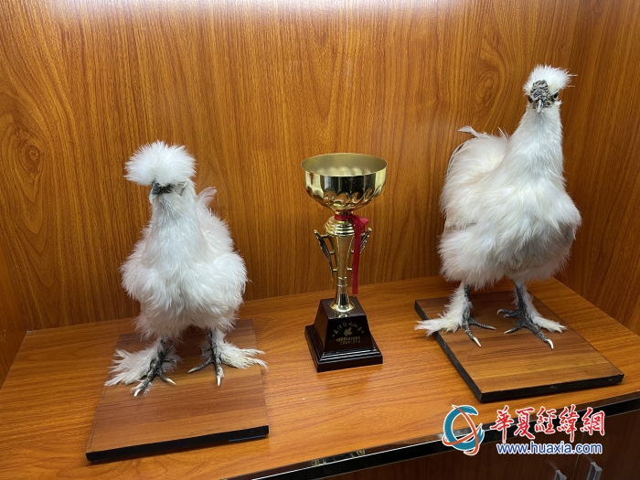 微信圖片_20231023181401_副本 微信圖片_20231023181401_副本