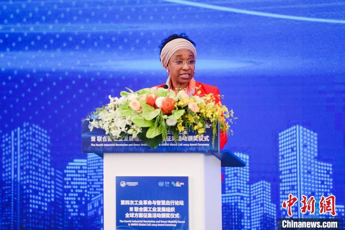 聯(lián)合國工業(yè)發(fā)展組織總干事代表兼執(zhí)行干事法圖?海達(dá)拉致辭。 