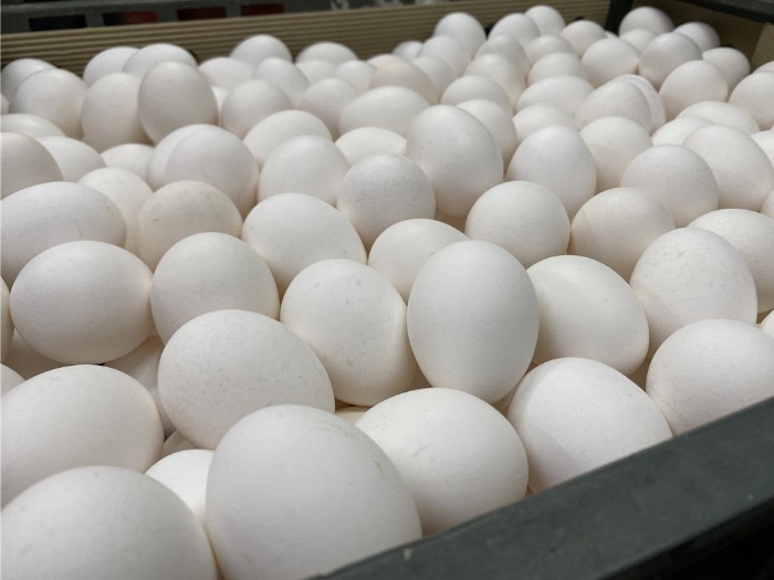 圖片來源：臺灣“中時(shí)新聞網(wǎng)”