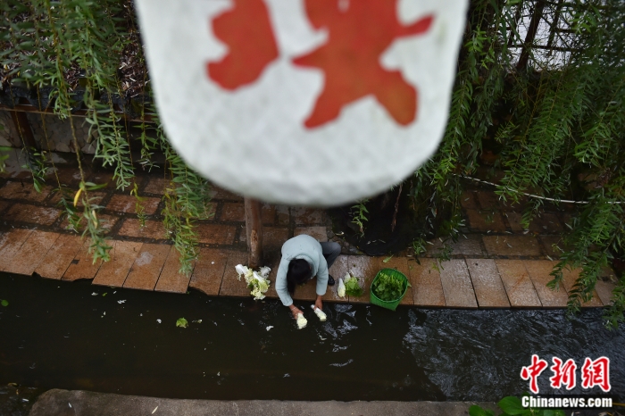 圖為居民在興賢古街小溪邊洗菜。<a target='_blank' href='/' >中新網(wǎng)</a>記者 李駿 攝