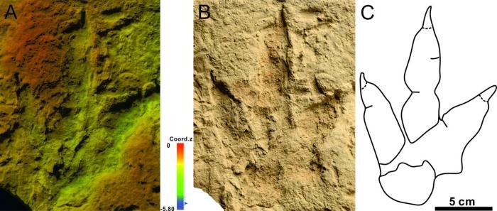 哈密及吐哈盆地白堊紀(jì)恐龍足跡 哈密及吐哈盆地白堊紀(jì)恐龍足跡