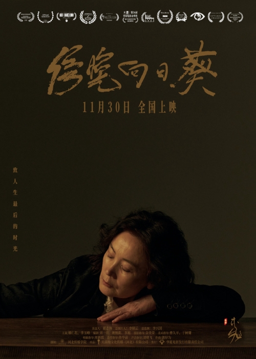 電影《傍晚向日葵》海報。