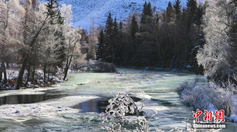 新疆富蘊額爾齊斯大峽谷：瓊花玉樹 唯美冬韻