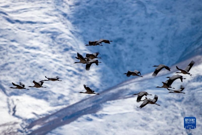 1130016062_17020353159981n 1130016062_17020353159981n