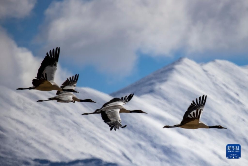 1130016062_17020353160331n 1130016062_17020353160331n