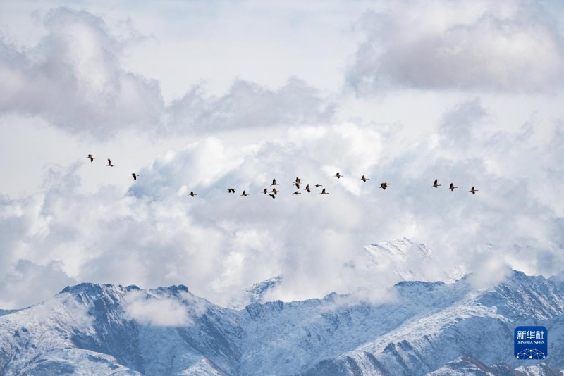 1130016062_17020353161661n 1130016062_17020353161661n