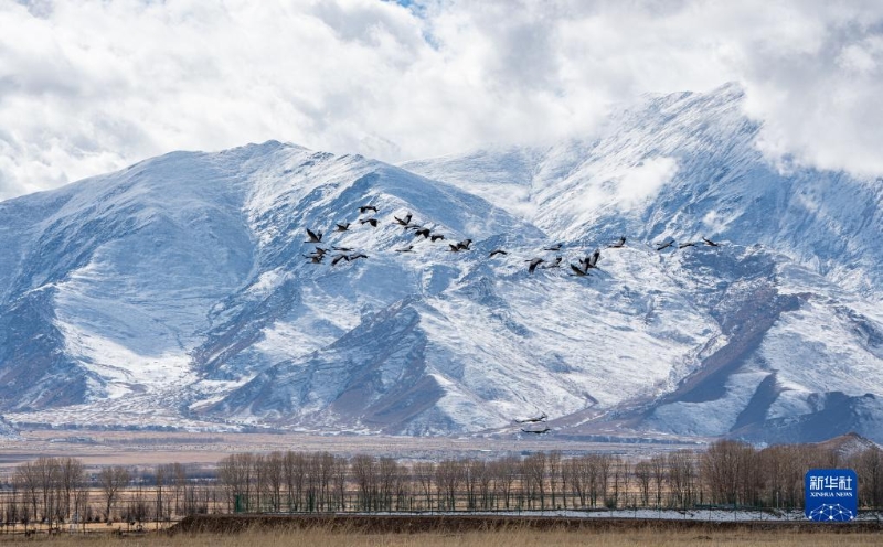 1130016062_17020353162271n 1130016062_17020353162271n