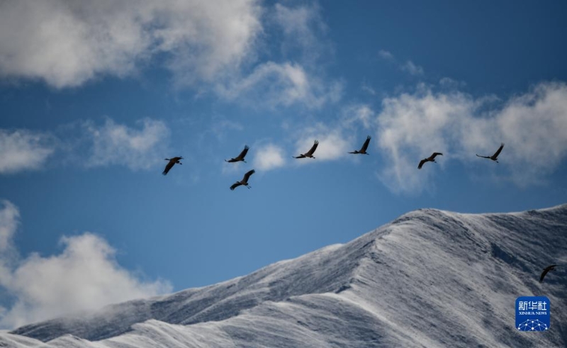 1130016062_17020353160991n 1130016062_17020353160991n