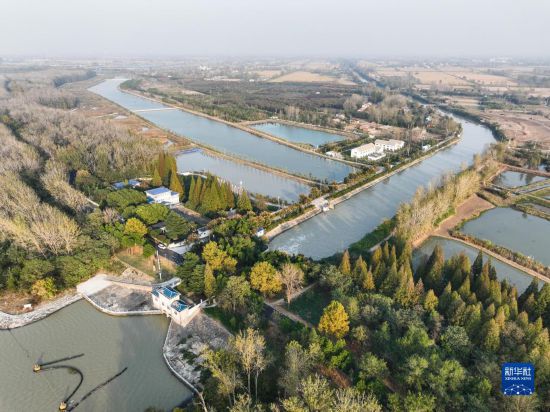 洪澤湖湖水經(jīng)過周橋渠首流向周橋灌區(qū)周橋總干渠（11月8日攝，無人機(jī)照片）