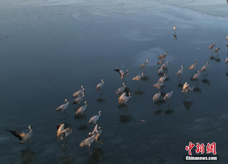 wc930x592_246e3e949df449888ff2fd83d72fc210 wc930x592_246e3e949df449888ff2fd83d72fc210