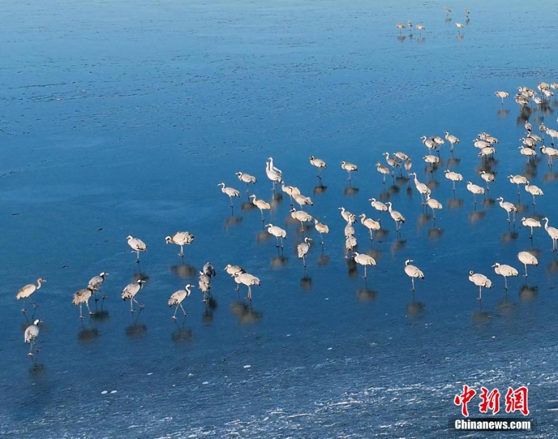 wc930x592_719f6a86f1c4497ab5ad8403c65d5942 wc930x592_719f6a86f1c4497ab5ad8403c65d5942