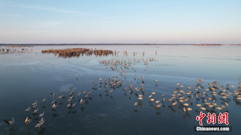 wc930x592_b684a5e058d4432eb5785cac8f8ea23b wc930x592_b684a5e058d4432eb5785cac8f8ea23b