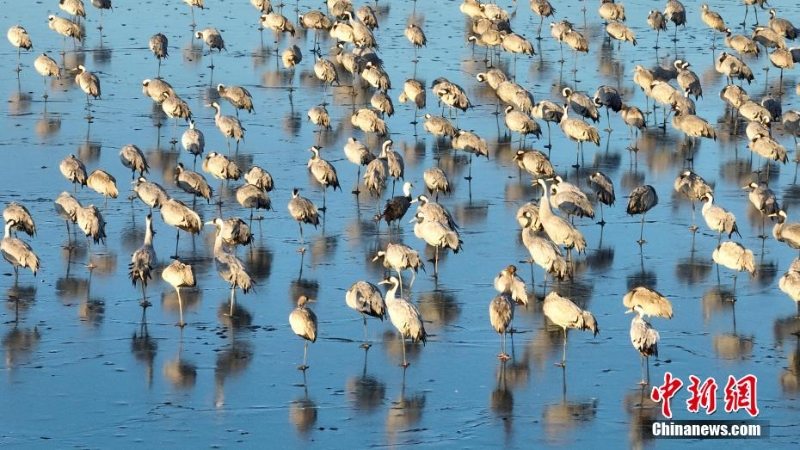 wc930x592_e9e9d270d42544e1aad817bcb751fefd wc930x592_e9e9d270d42544e1aad817bcb751fefd