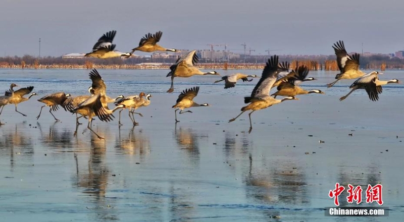 wc930x592_fd2c8ab66e2a4152921c590eac5ca34e wc930x592_fd2c8ab66e2a4152921c590eac5ca34e