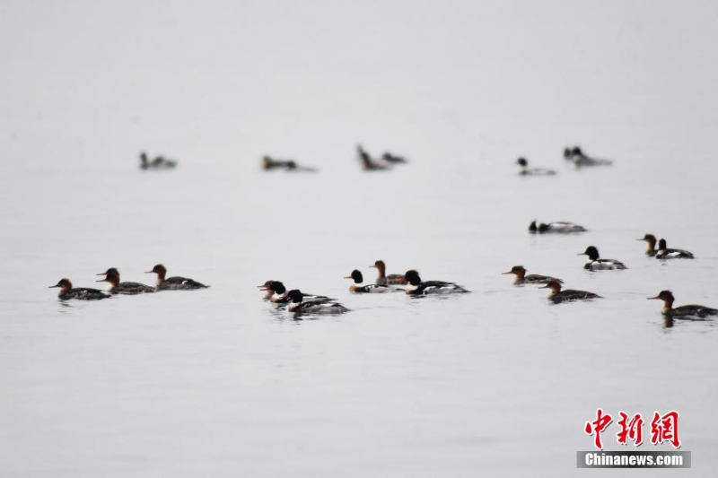 wc930x592_5ce093cf7d774b72b75d4101f75107e7