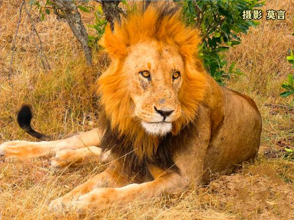 莫言公開喊話：親愛(ài)的余華！網(wǎng)友看完笑抽了……