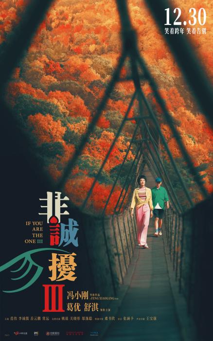 圖為《非誠勿擾3》海報(bào)