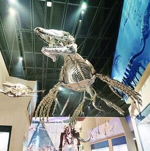 中國(guó)古動(dòng)物館（保定自然博物館）開(kāi)館