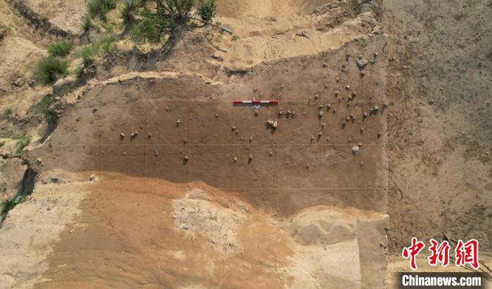 2023年陽原新廟莊遺址考古一處發(fā)掘地點。(河北省文物考古研究院供圖).jpeg