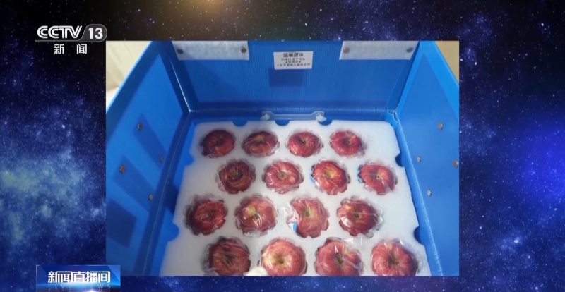 此次天舟七號攜帶新鮮水果將近90公斤，比天舟六號增加了近30公斤。（圖源：央視新聞）