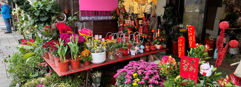 【圖說臺灣】甲辰龍年行寶島 春意年味正濃時